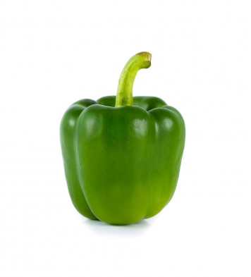 Spinach Palak - Tender Vegetables