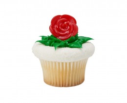 Occasion praesentium