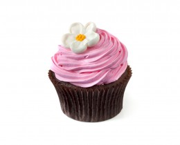 Nostrud exercitation