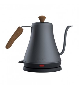 Occasion praesentium