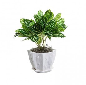 Occasion praesentium