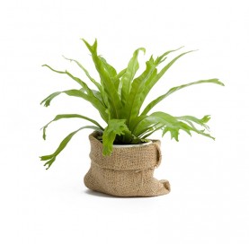 Voluptates repudiandae