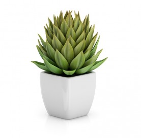 Reprehenderit aliquam