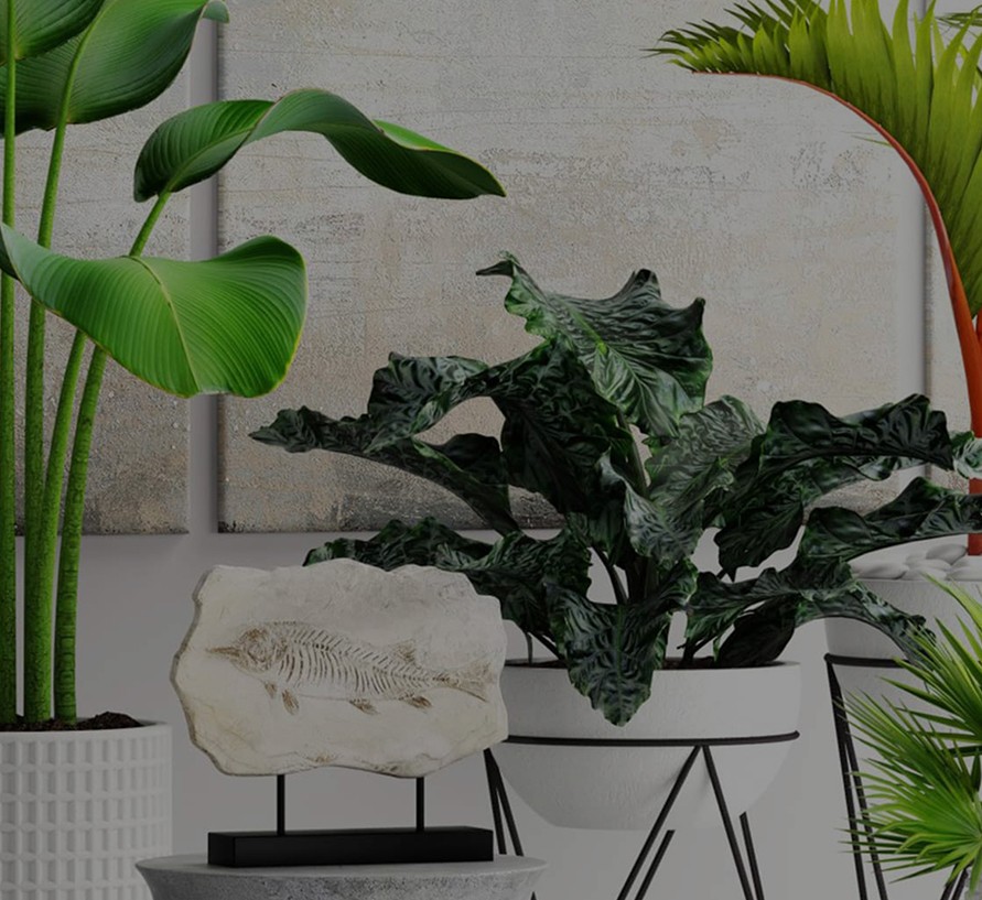 There are many variations of passages of Lorem Ipsum available