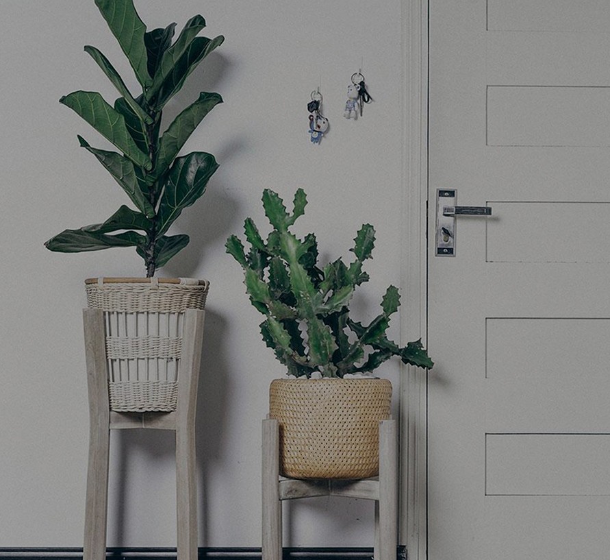 The standard chunk of Lorem Ipsum used since the 1500s