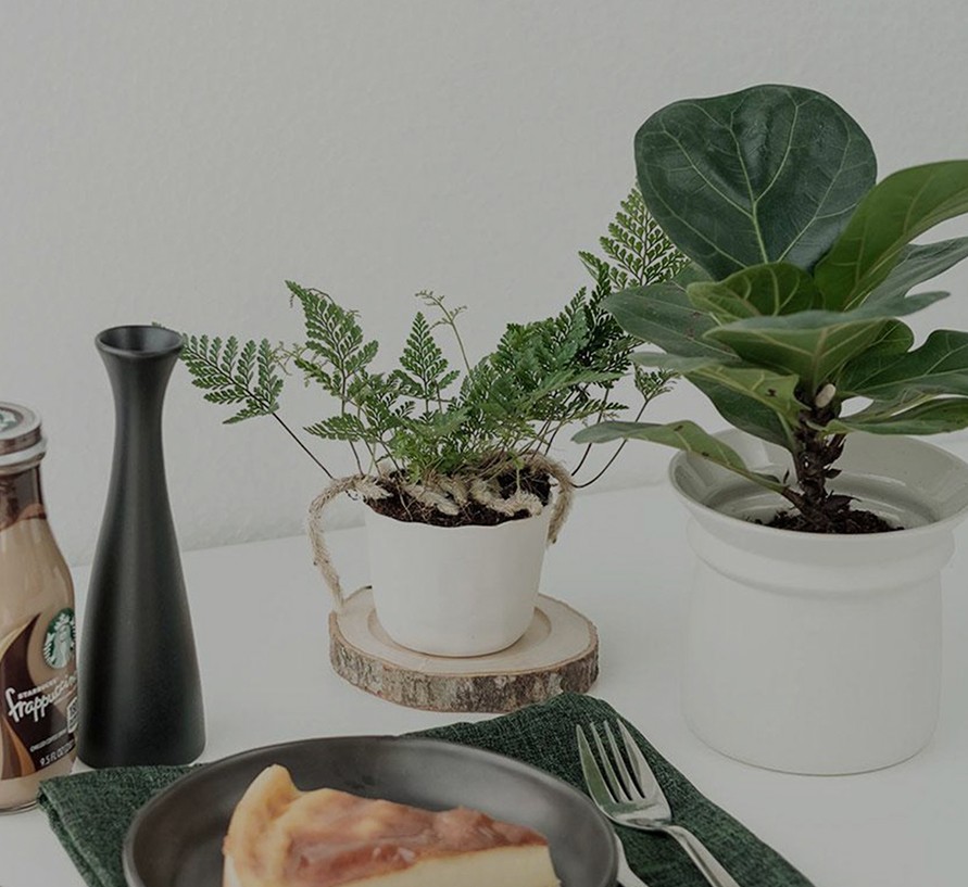 Lorem Ipsum is therefore always free from repetition injected humour