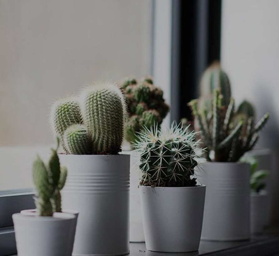 Many desktop publishing packages and web page editors